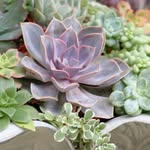 @tmlandscapedesign