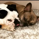 @coco.mercy.bullies