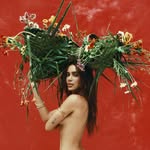 @anitta instagram
