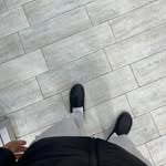 @chipmunk.9352094