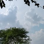 @kajal.8157778