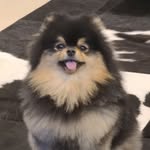 @thv instagram