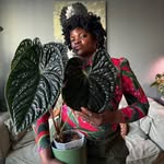@monefsjungle