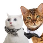 @this_puuuurfect_life