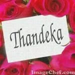 @moghel33
