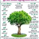 @noman444488