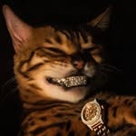 @_sugarmoneyy