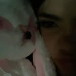 @wtsdomxp