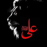 @mominatariq304